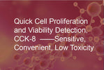 Quick Cell Proliferation and Viability Detection, CCK-8  ——Sensitive, Convenient, Low Toxicity