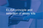 ELISA principle and selection of assay kits