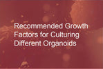 Recommended Growth Factors for Culturing Different Organoids