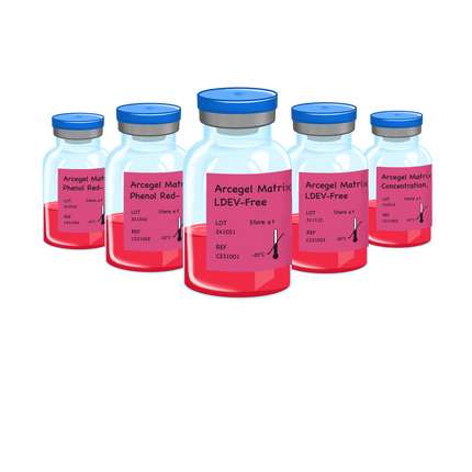 Arcegel Matrix for Organoid culture, Phenol Red-Free, LDEV-Free_C231009