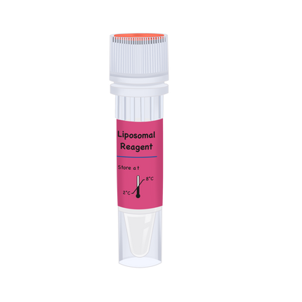 Celthy Univer Liposomal Transfection Reagent_C130002