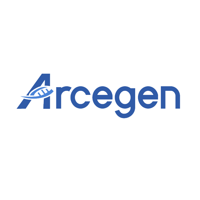 Recombinant Rhesus Macaque Interleukin-1 alpha (Rhesus Macaque IL-1α)_ C230721