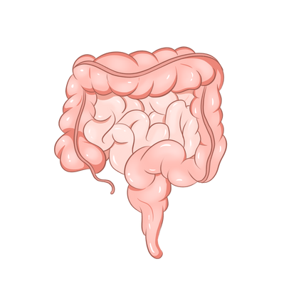 3DCultr Intestinal Cancer Organoid Growth Medium (Human)_C231106